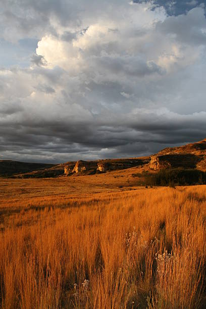 istock Storm clouds over the Freestate 89318292