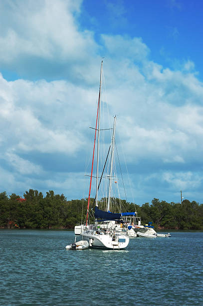 istock key biscayne marina relaxing day 89318381