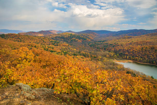 istock a large reservoir, top view. autumn forest and high blue sky, 893185836