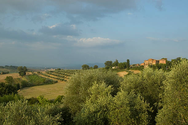 The Hills of Tuscany, Italy stock photo