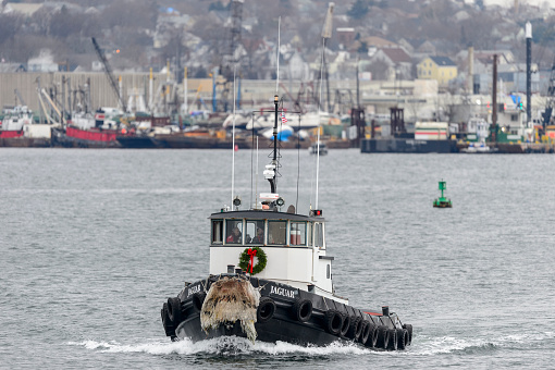 New Bedford, Massachusetts, USA - December 12, 2017: Tug Jaguar, sporting holiday wreath, crossing New Bedford harbor