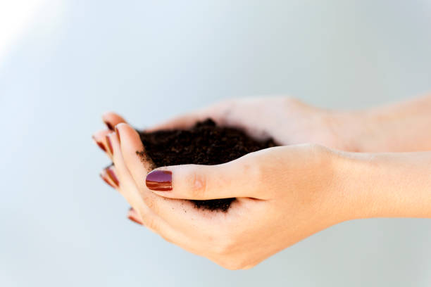 istock Soil in woman Hand 893196464