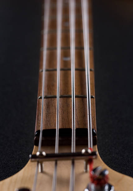 istock Bass guitar fretboard 89320987