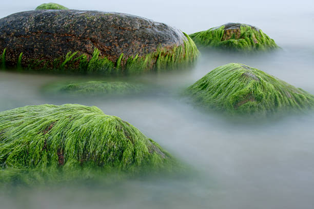 When sea is calm stock photo