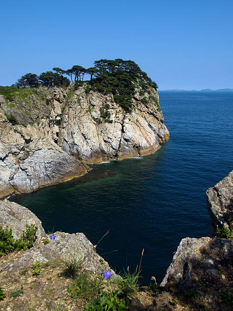 istock seaside pine islands reservation bay cove 89322618