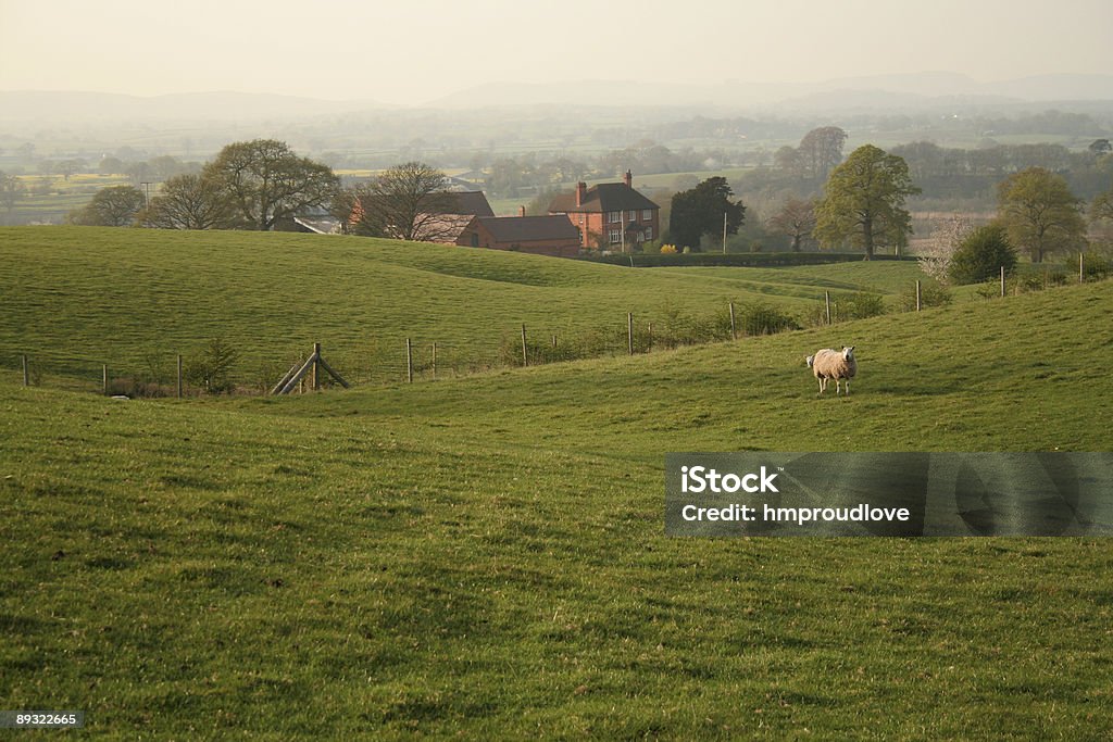 Cheshire ferme - Photo de Scène rurale libre de droits