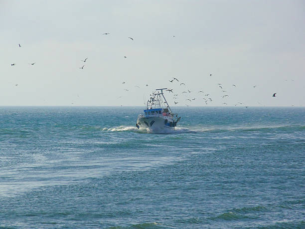 istock Fish boat on Tirrenian sea 89322719