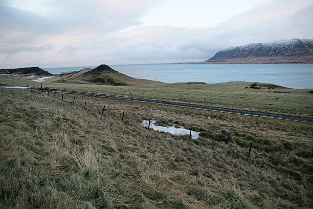 paisaje de invierno en islandia - overclouded fotografías e imágenes de stock