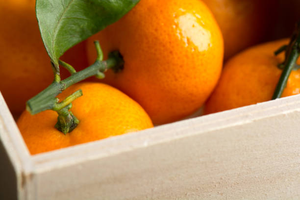 istock Fresh tangerines with leaves in wooden box on the table 893233492