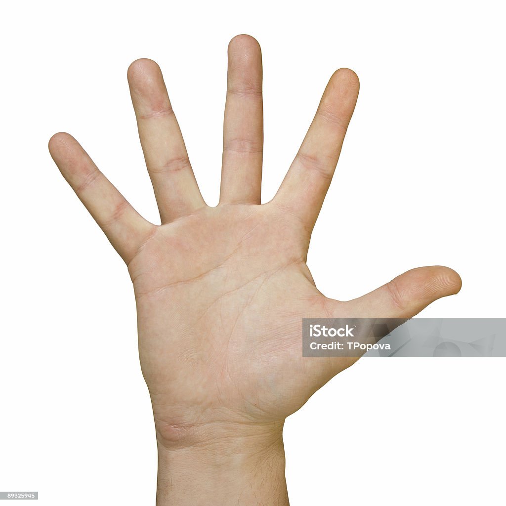 Hand (palm)  Adult Stock Photo