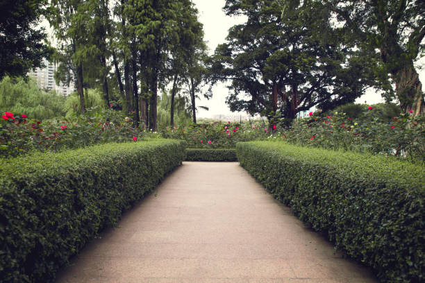 istock beautiful garden in the park 893267028