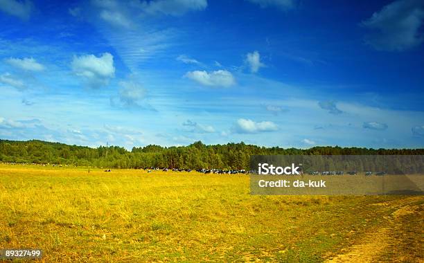 Landscape Stock Photo - Download Image Now - Agricultural Field, Beauty, Beauty In Nature