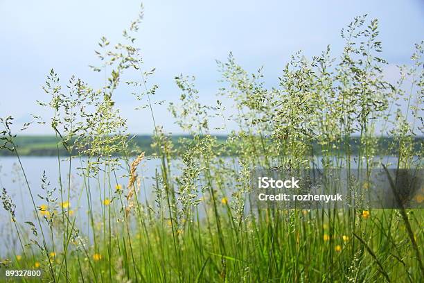 Natureza Paisagem - Fotografias de stock e mais imagens de Agosto - Agosto, Abril, Abstrato