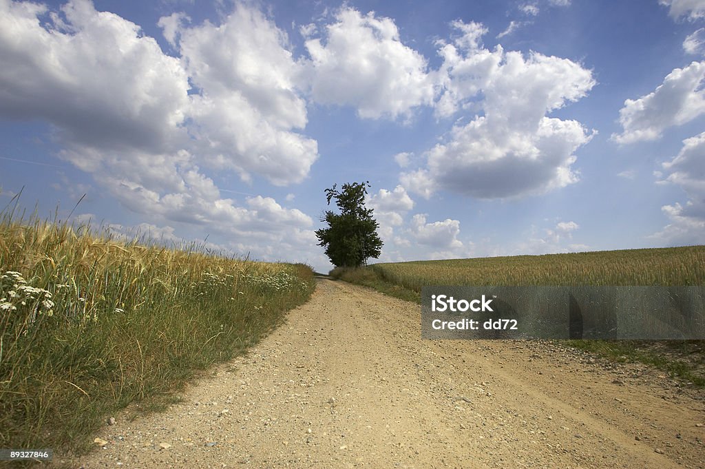 Land lane - Lizenzfrei Baum Stock-Foto