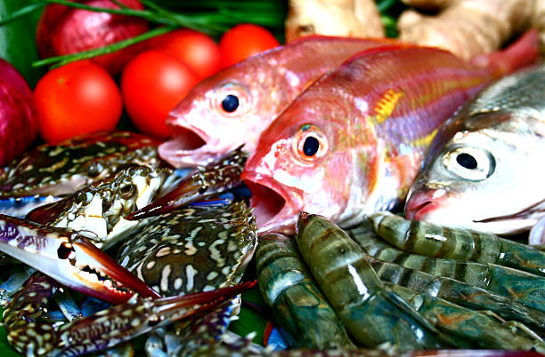 seafood galore stock photo