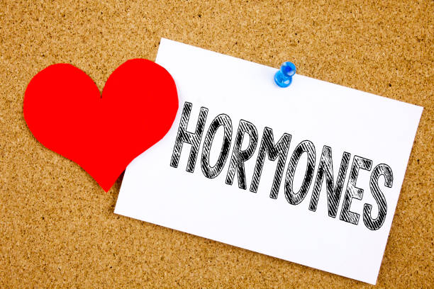 istock Conceptual hand writing text caption inspiration showing Hormones concept for Hormone Pill and Love written on sticky note, reminder cork background with copy space 893282050