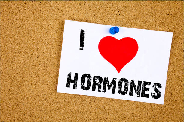 istock Hand writing text caption inspiration showing I Love Hormones concept meaning Hormone Pill Loving written on sticky note, reminder isolated background with copy space 893282410