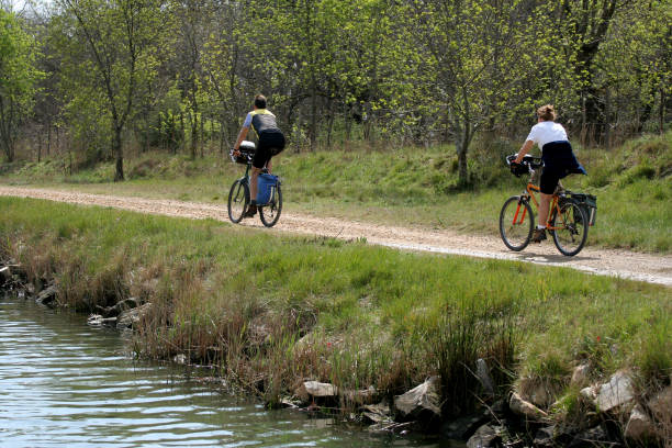 Backlit view of mountain biker riding on back tire through puddle in forest