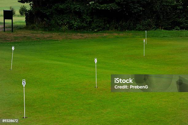 Puttingrange Stockfoto und mehr Bilder von Einlochen - Golf - Einlochen - Golf, Farbbild, Feld