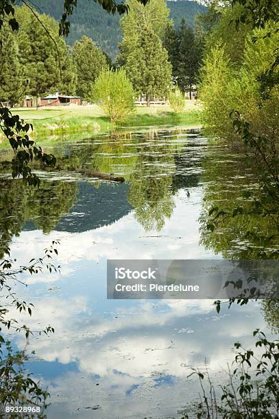 Reflejos En Un Estanque 2 Foto de stock y más banco de imágenes de Actividad de fin de semana - Actividad de fin de semana, Agua, Aislado