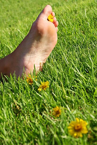 istock Foot and Flowers 89329942