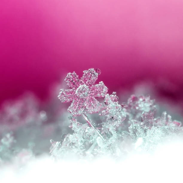 istock natural snowflakes on snow 893302348