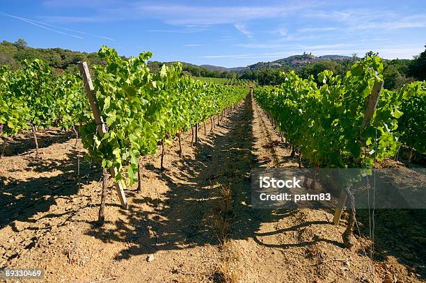 Provence Vineyard Stock Photo - Download Image Now - Agricultural Field, Agriculture, Blue