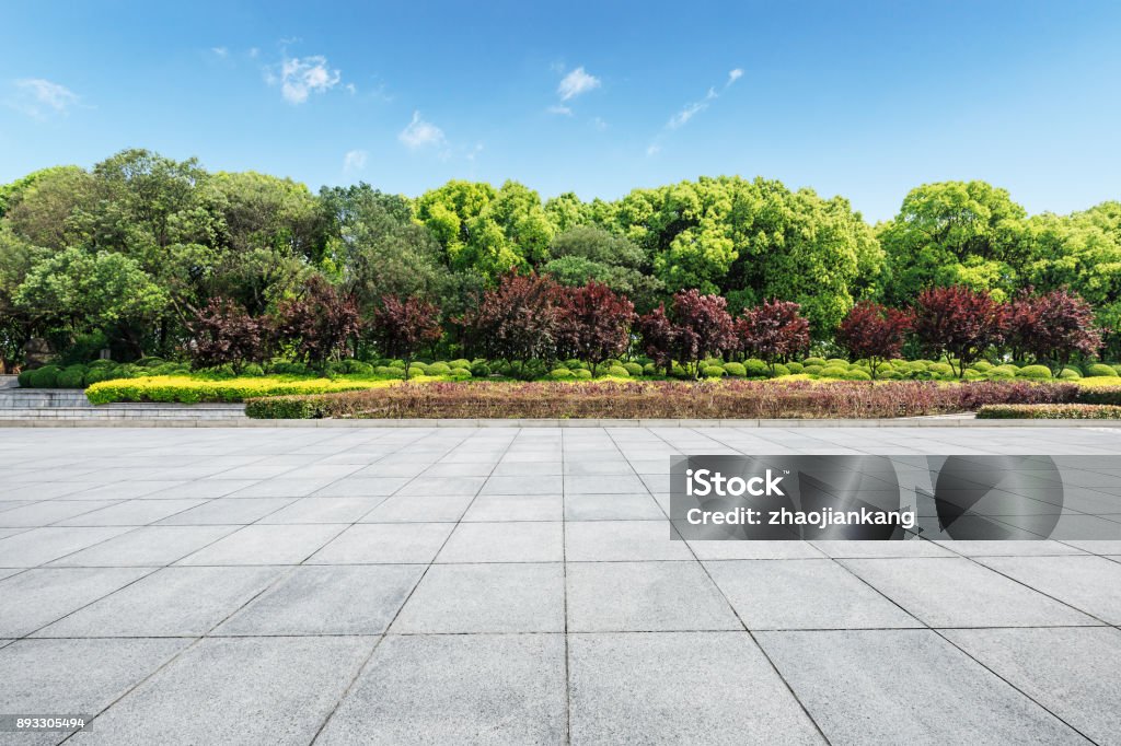 Planta cuadrada vacía y bosque verde naturaleza paisaje - Foto de stock de Fondos libre de derechos