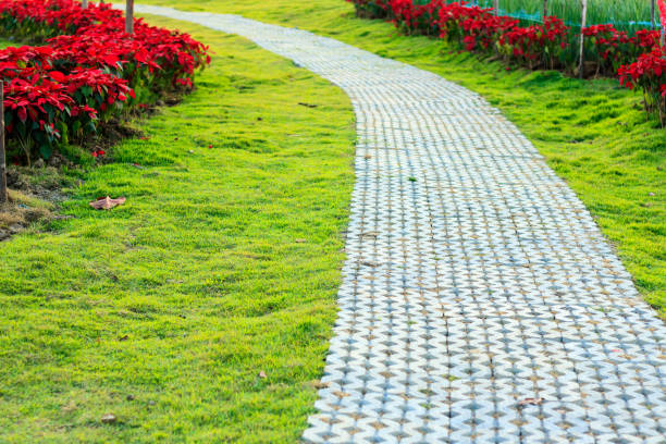 istock Cement block walkway on grass field in the garden. 893308266