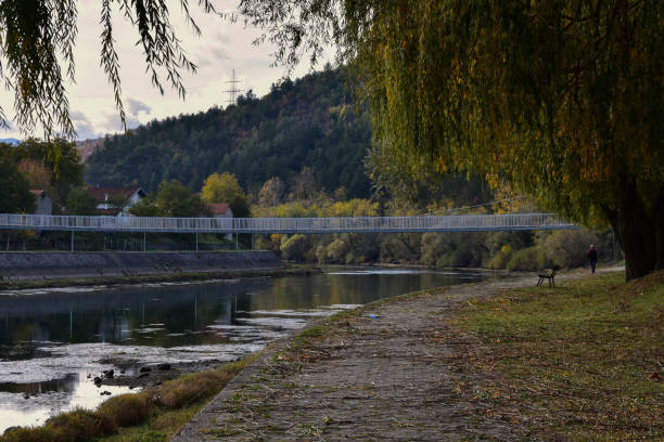 istock Beautiful countryside view by river framed whit trees 893321282