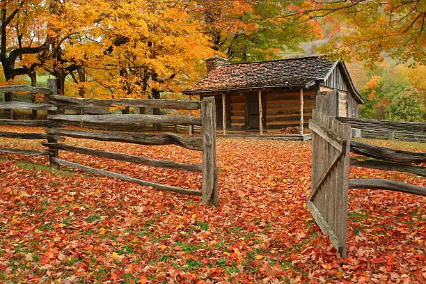 Old log cabin with fence and gate during autumn of the year.