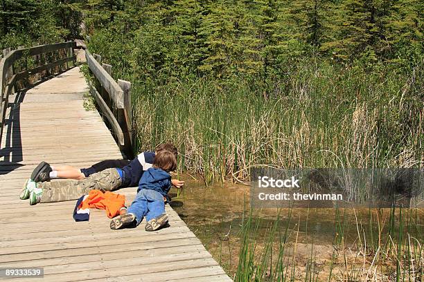 Jungen Im Sommer Stockfoto und mehr Bilder von Baum - Baum, Drei Personen, Erforschung