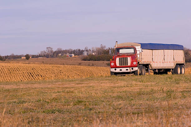 Farm Truck stock photo