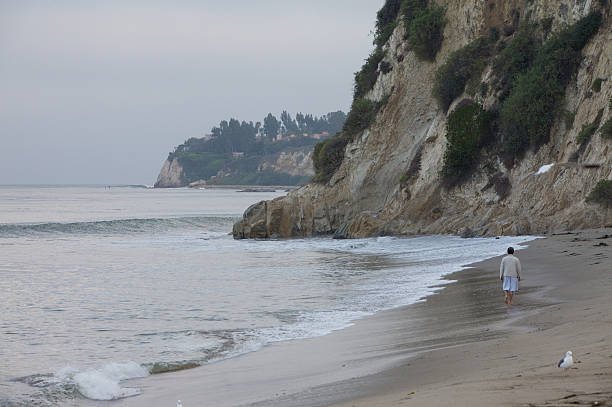 istock Paradise Cove, California 89335200