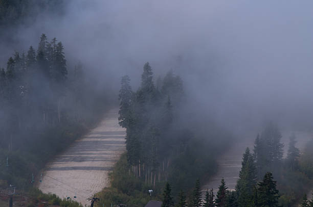 nebbia su passo di stevens - north cascades national park washington state northern cascade range mountain pass foto e immagini stock