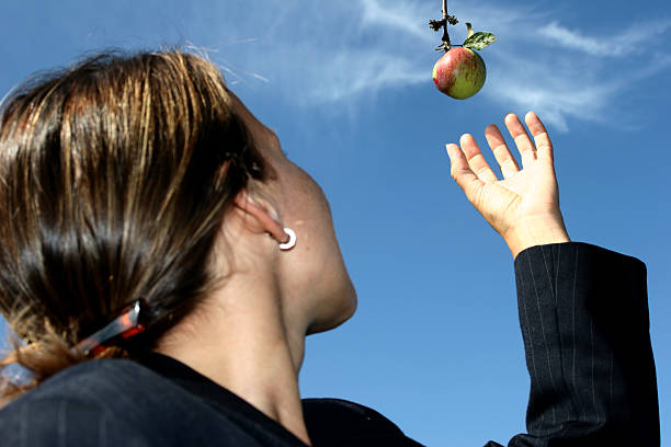 Low hanging fruit stock photo