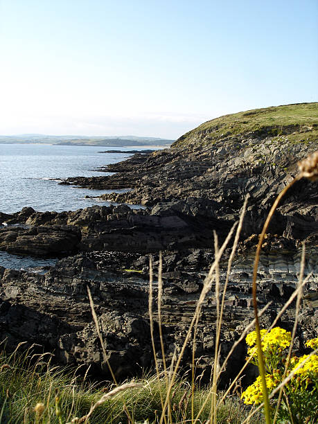 rough irish coastline - fsachs78 stockfoto's en -beelden