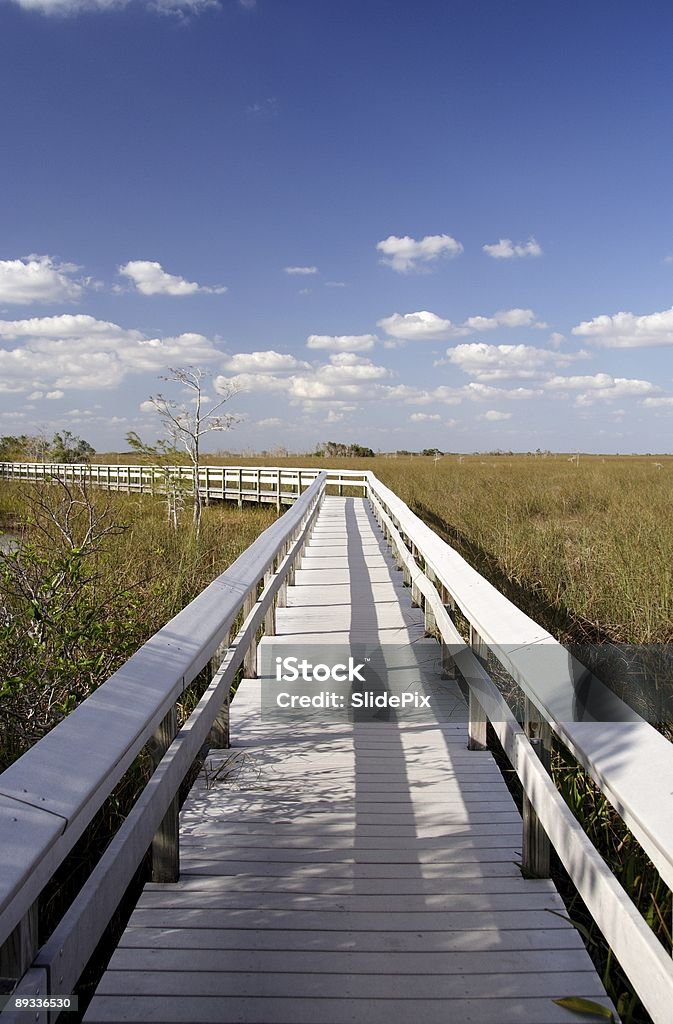 Panorama des Everglades - Photo de Parc National des Everglades libre de droits