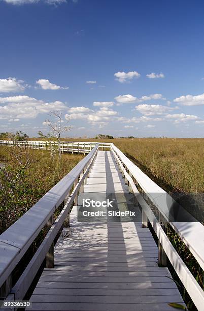 Photo libre de droit de Panorama Des Everglades banque d'images et plus d'images libres de droit de Parc National des Everglades - Parc National des Everglades, Vertical, Bleu