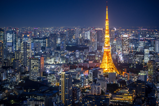 Elevated view of illuminated Tokyo Tower and crowded skyscrapers in Tokyo.