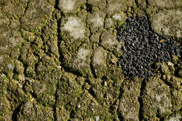 ひび割れ表面テクスチャ背景の灰色のセメント、砂し、石の緑苔癬、タマリンドの葉と日光の下で黒い砂利で舗装道路地面 - building exterior lichen plant shadow ストックフォトと画像