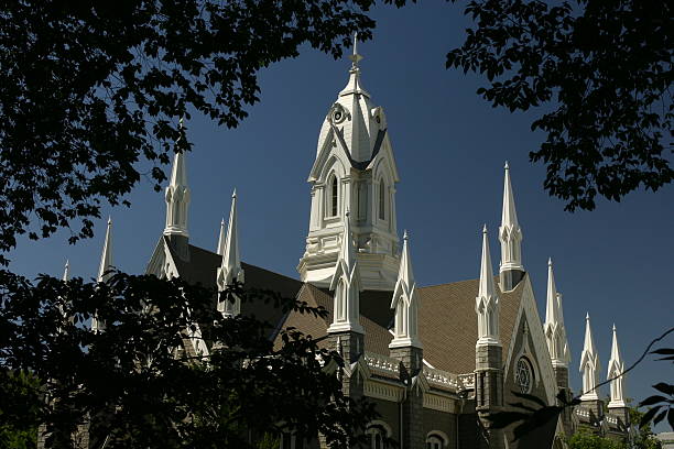 istock Assembly Hall rooftop, Salt lake city 89336945