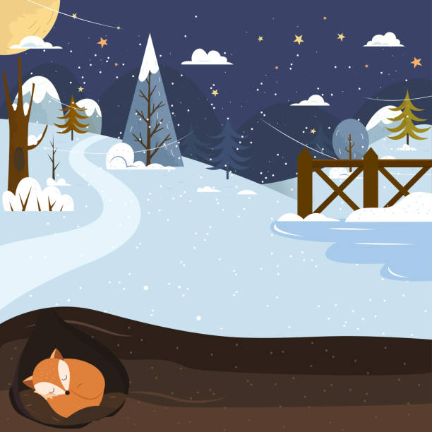 Let it snow. Fox sleeping in a hole. Holiday background. Let it snow. Fox sleeping in a hole. Holiday background. Christmas vector. Place for your text. hibernation stock illustrations