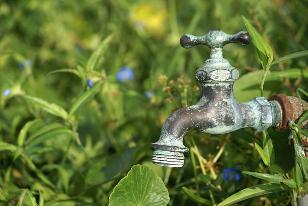 Old brass drinking fountain with an out of focus green background.