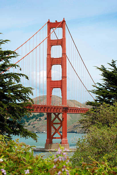 мост золотые ворота - marin tower стоковые фото и изображения