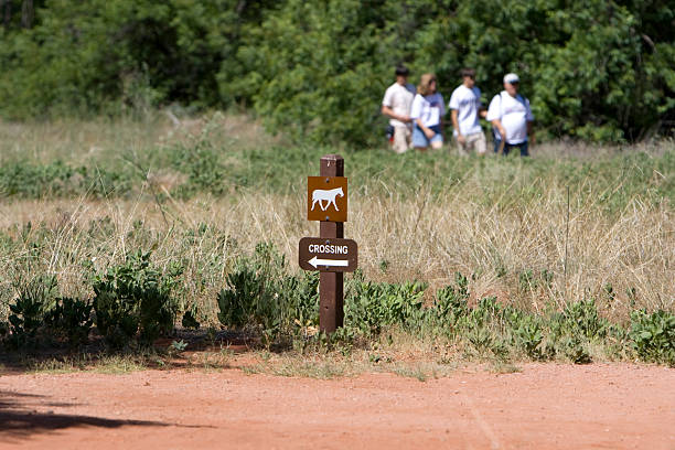 istock Hikers & Horse crossing 89338393