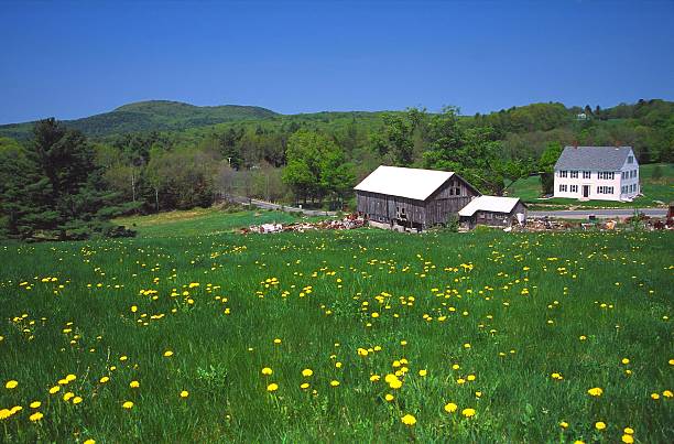 wiosna - massachusetts landscape new england spring zdjęcia i obrazy z banku zdjęć