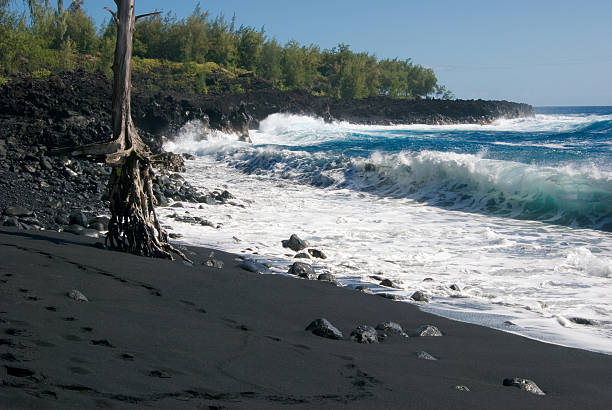 spiaggia di sabbia nera - hilo foto e immagini stock