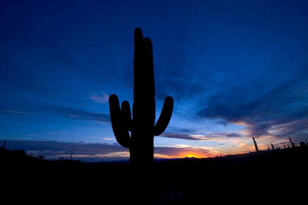 Sunset Desert stock photo