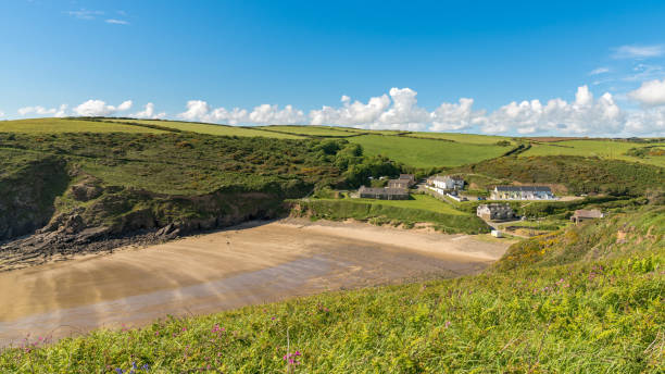 istock Nolton Haven, Pembrokeshire, Dyfed, Wales, UK 893395558